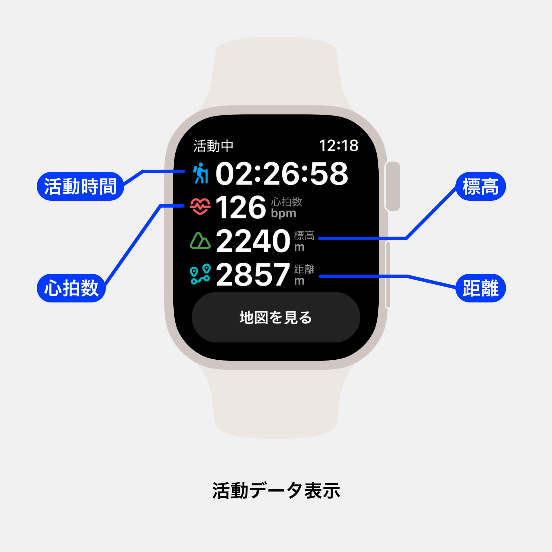 activitydata.jpg